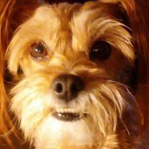 Meet your Posher, Natalie